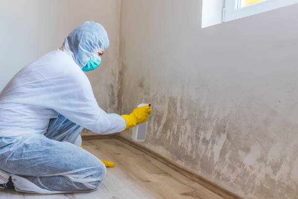 Hvac And Air Duct Mold Remediation inspection of HVAC system in Confluence